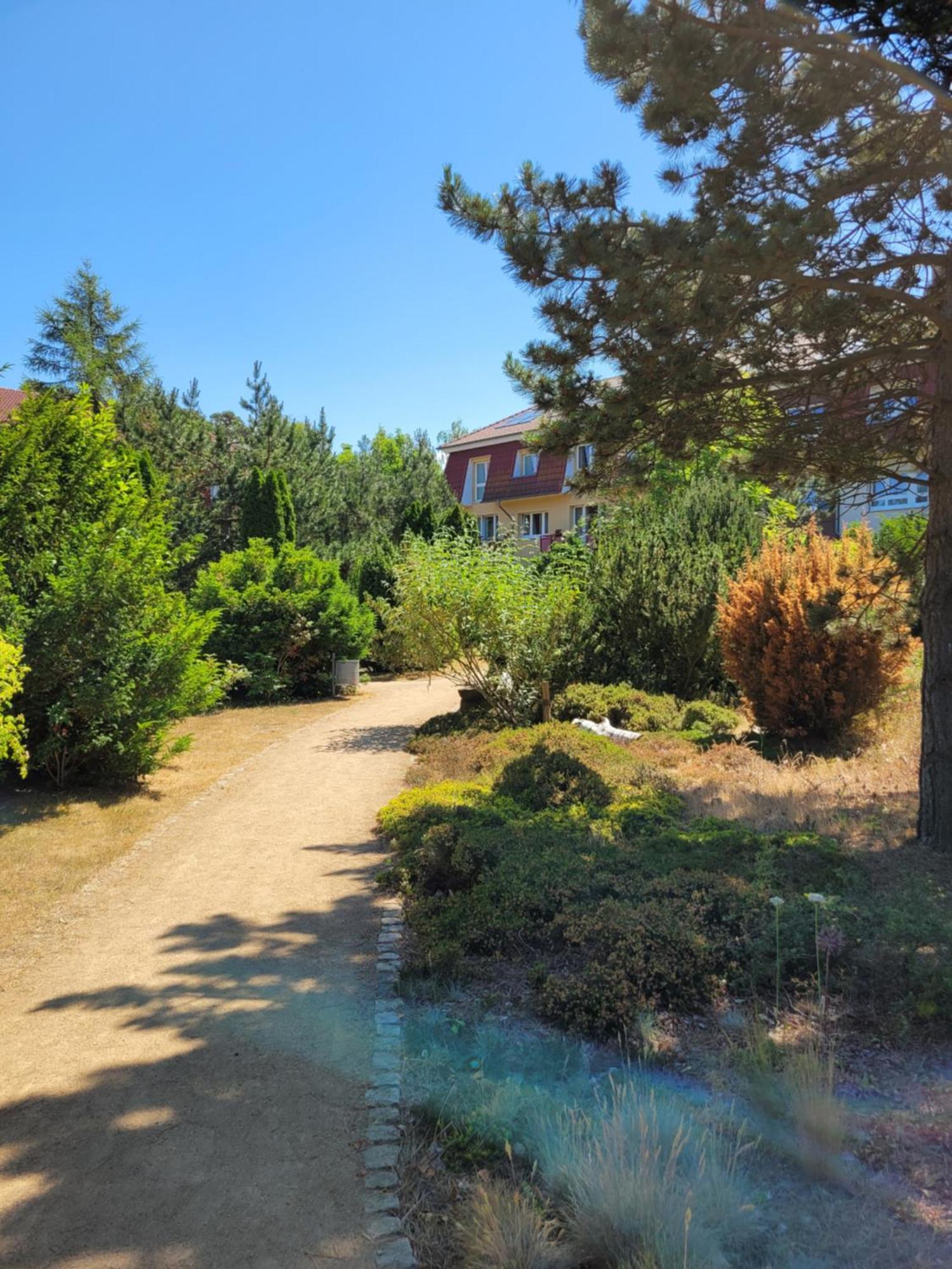 Dünengarten Ostseebad Kühlungsborn Exterior foto