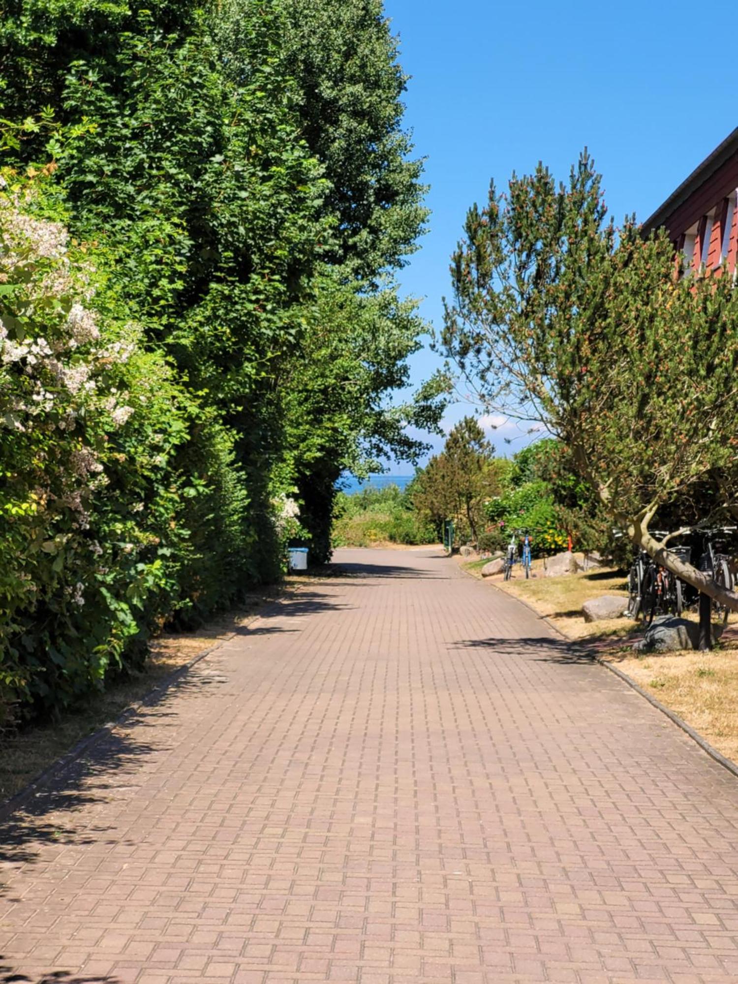 Dünengarten Ostseebad Kühlungsborn Exterior foto